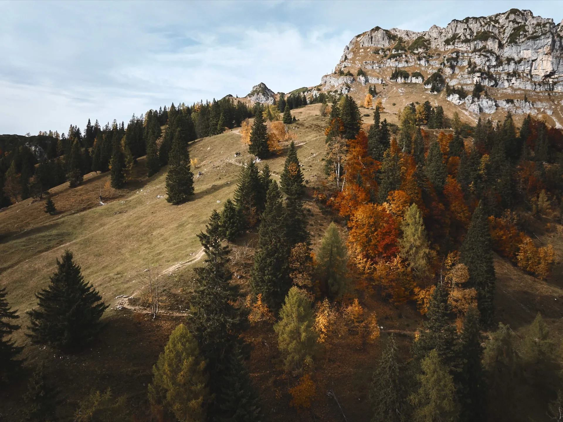 Bergmorgen